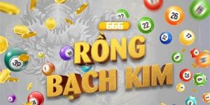 Bật Mí Soi Cầu Rồng Bạch Kim Chính Xác Dành Cho Cược Thủ